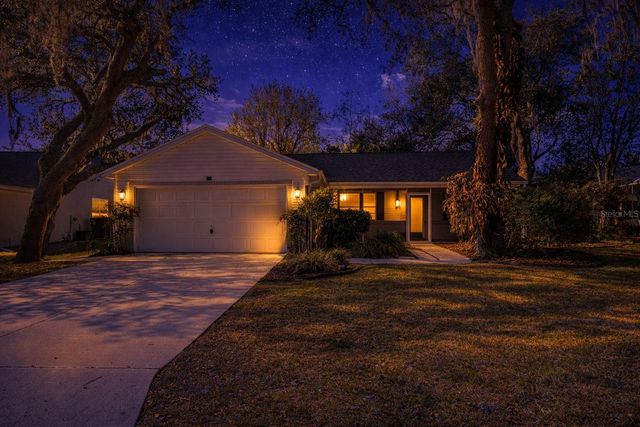 210 PALERMO PLACE, The Villages, FL 32159