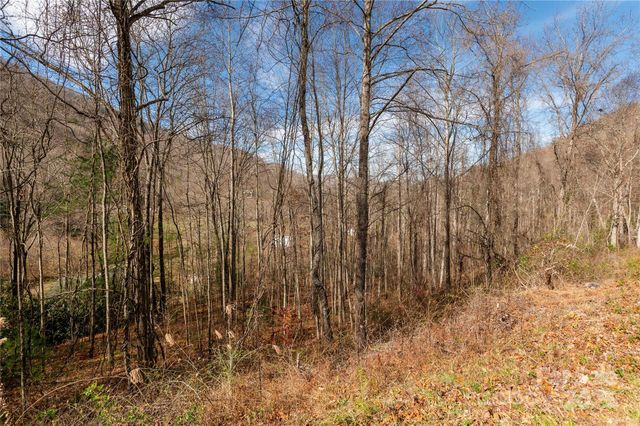 00 Terrys Gap Road, Fletcher, NC 28732