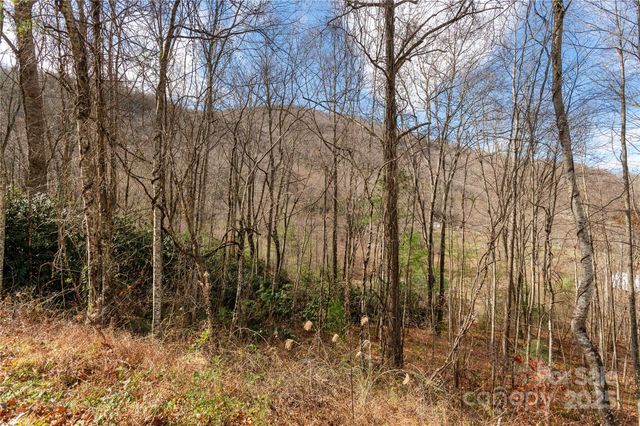 00 Terrys Gap Road, Fletcher, NC 28732