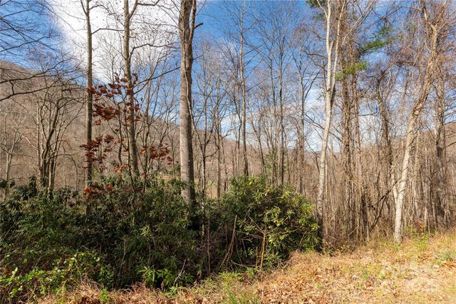 00 Terrys Gap Road, Fletcher, NC 28732
