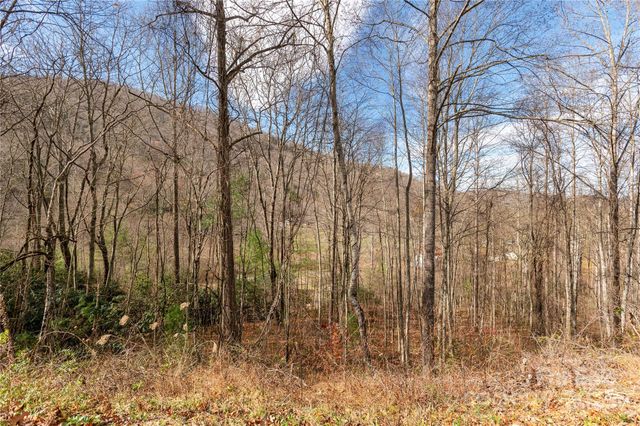 00 Terrys Gap Road, Fletcher, NC 28732
