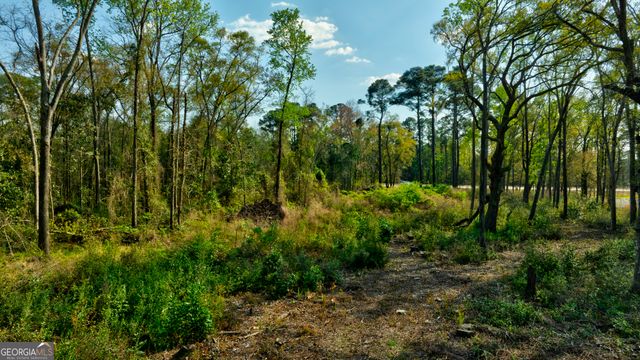 2502 Staley Avenue, Savannah, GA 31405