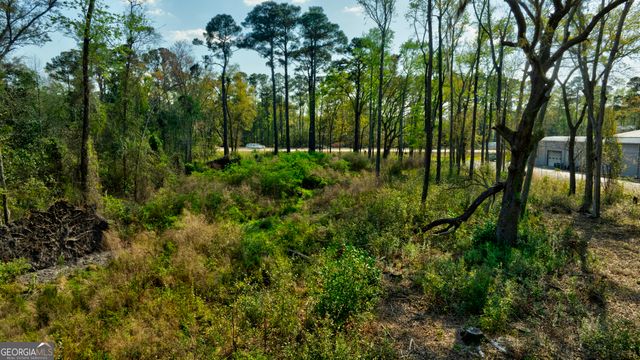 2502 Staley Avenue, Savannah, GA 31405