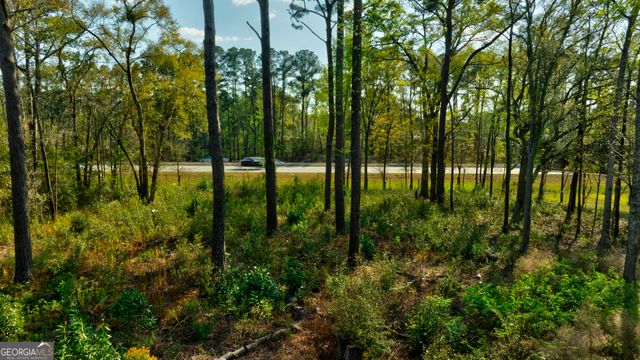 2502 Staley Avenue, Savannah, GA 31405