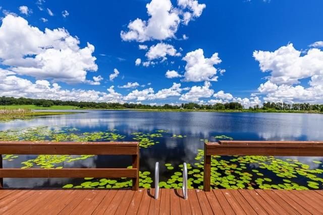 9945 REDS LANE, Clermont, FL 34711