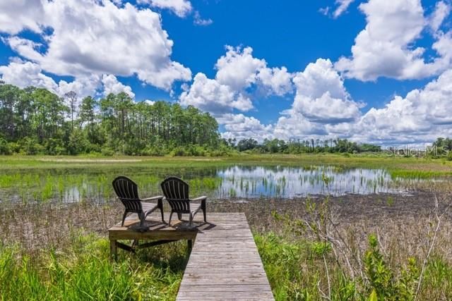 9945 REDS LANE, Clermont, FL 34711