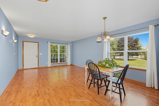 2045 Winding Lakes Drive, Plainfield, IL 60586