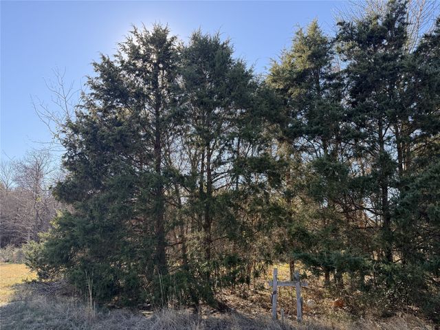 Lot 194 Cobalt Cove, Corsicana, TX 75109