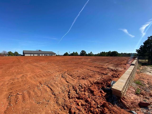 2256 Blue Mountain Blvd, Tyler, TX 75703