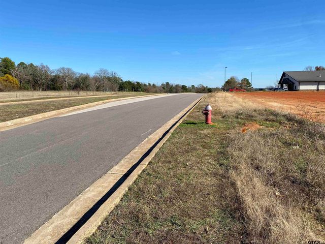 2256 Blue Mountain Blvd, Tyler, TX 75703