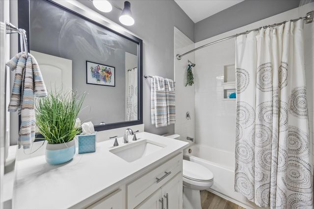 924 Alexander Street, Houston, TX 77008