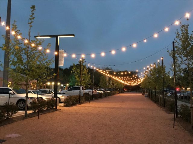 924 Alexander Street, Houston, TX 77008