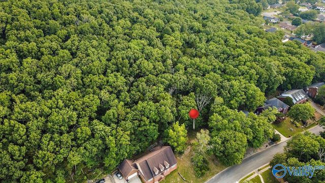 3040 Box Canyon Road SE, Huntsville, AL 35803
