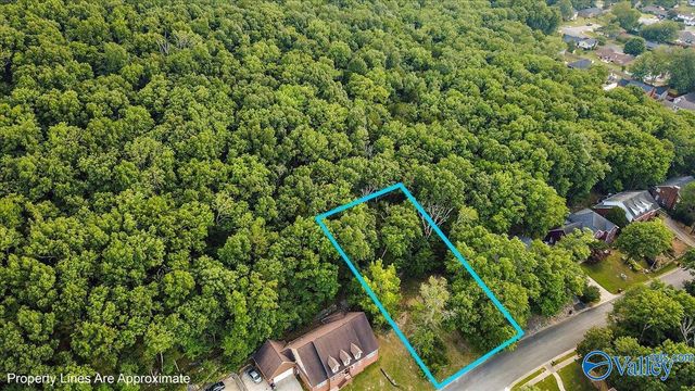 3040 Box Canyon Road SE, Huntsville, AL 35803