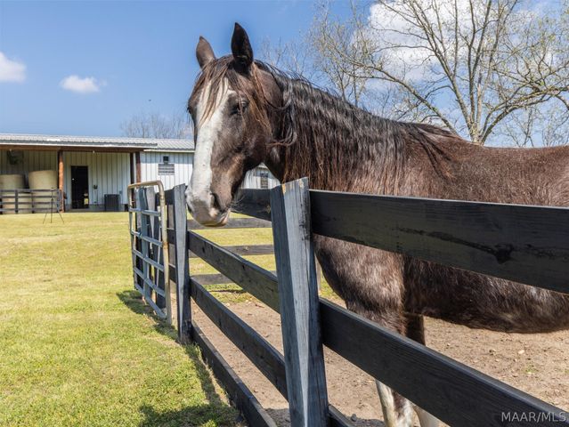 398 Abrams Road, Tallassee, AL 36078