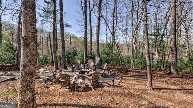 356 Mountain Trace, Cherry Log, GA 30522