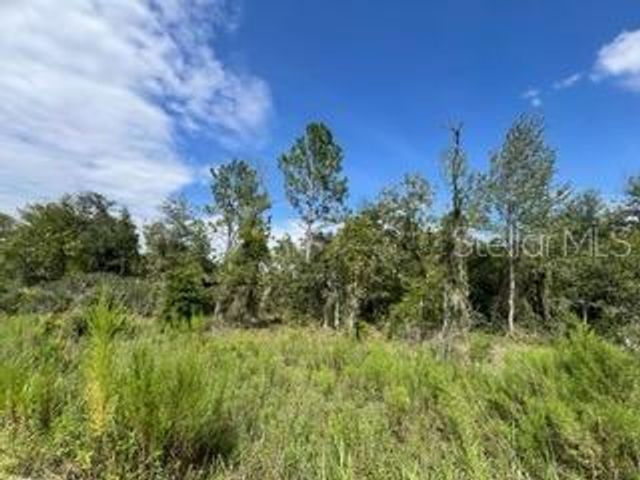 12111 NE 64TH PLACE, Williston, FL 32696