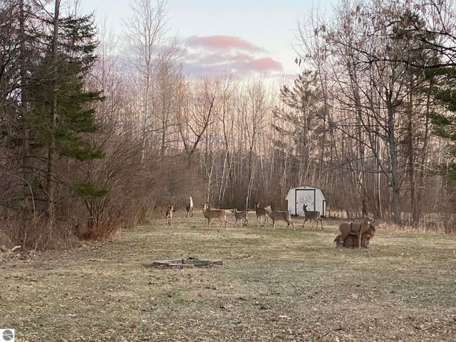 4145 W Shearer Road, Coleman, MI 48618