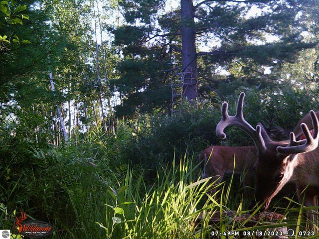 4145 W Shearer Road, Coleman, MI 48618