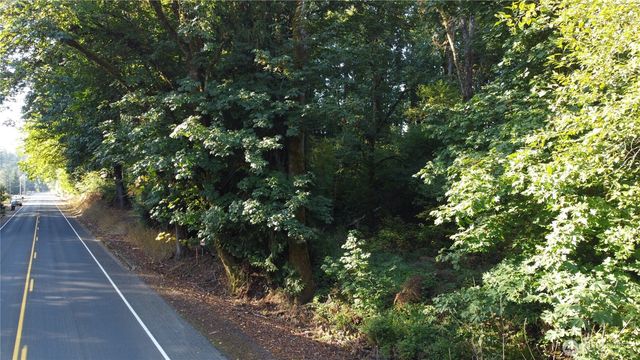 0 Old Pacific Hwy, Castle Rock, WA 98611