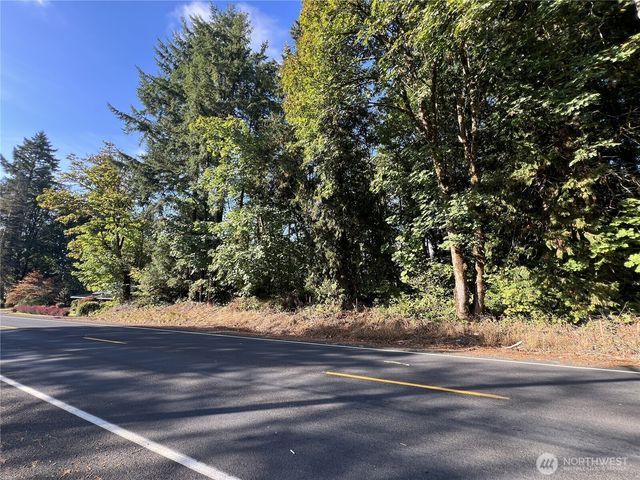 0 Old Pacific Hwy, Castle Rock, WA 98611