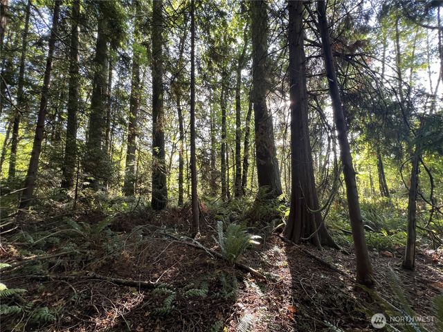 0 Old Pacific Hwy, Castle Rock, WA 98611