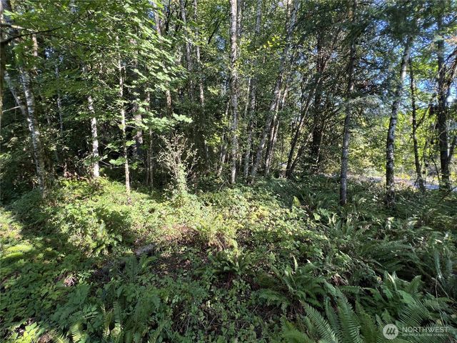 0 Old Pacific Hwy, Castle Rock, WA 98611