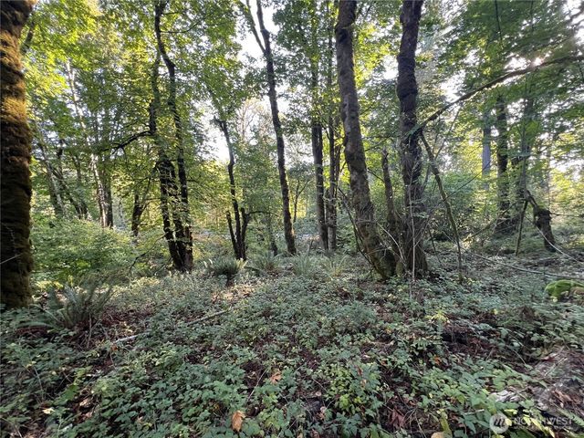 0 Old Pacific Hwy, Castle Rock, WA 98611