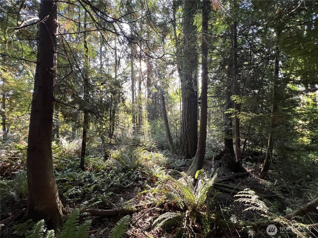 0 Old Pacific Hwy, Castle Rock, WA 98611