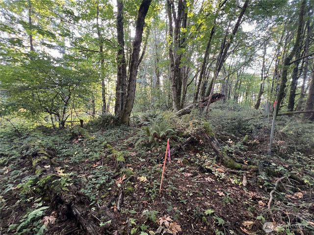 0 Old Pacific Hwy, Castle Rock, WA 98611