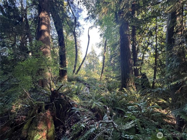 0 Old Pacific Hwy, Castle Rock, WA 98611