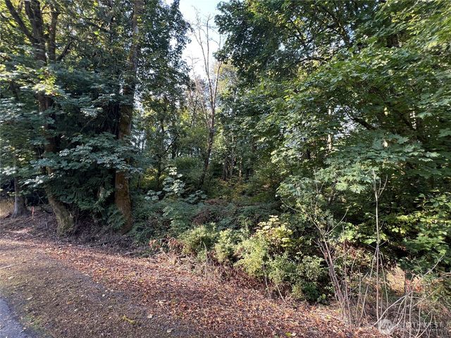 0 Old Pacific Hwy, Castle Rock, WA 98611