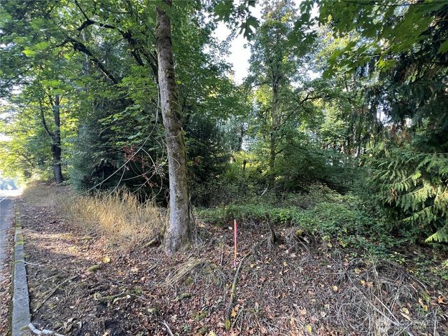 0 Old Pacific Hwy, Castle Rock, WA 98611