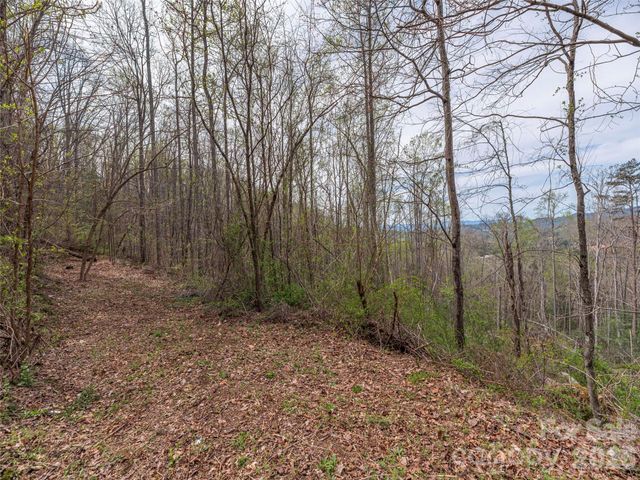 111 & 125 Cedar Mountain Road, Asheville, NC 28803