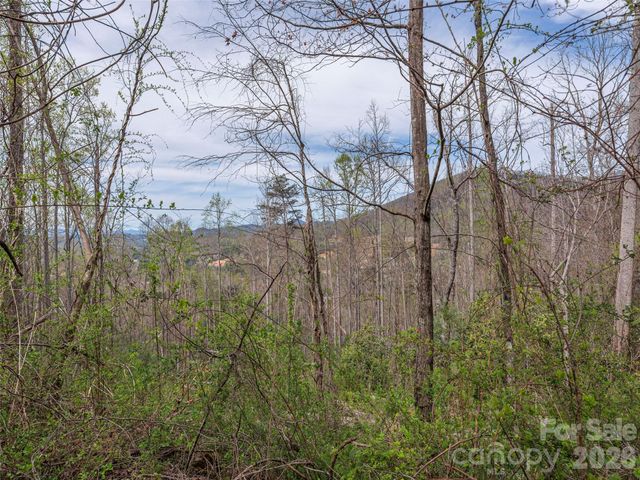 111 & 125 Cedar Mountain Road, Asheville, NC 28803