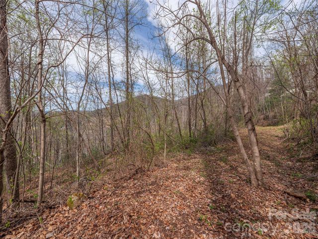 111 & 125 Cedar Mountain Road, Asheville, NC 28803