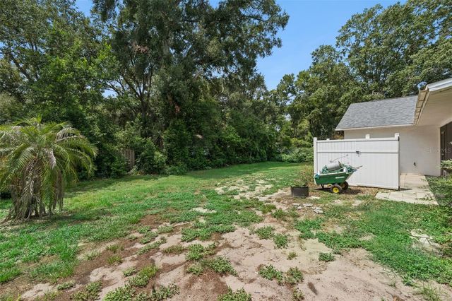 4160 WOOD DRIVE, Mount Dora, FL 32757
