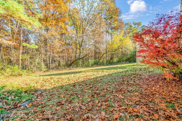 3607 Airport Rd, Rockwood, TN 37854