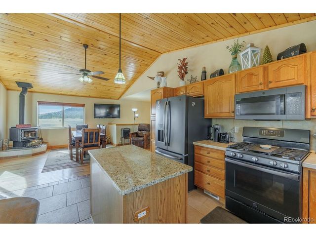 345 Meadow Ln, Guffey, CO 80820