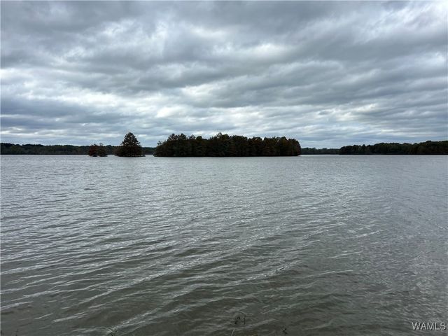 231 Pinecrest, Pickensville, AL 35447