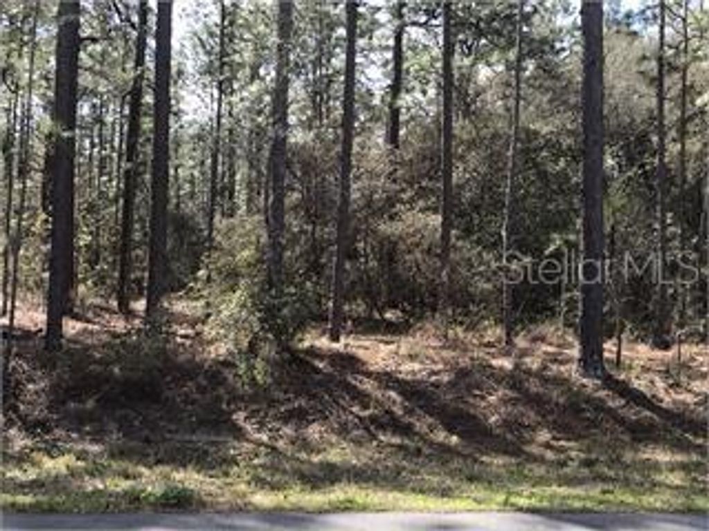 1933 CR 243C, Wildwood, FL 34785