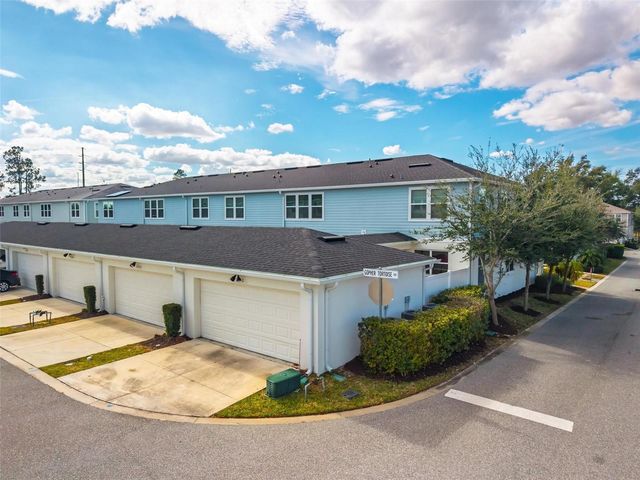 2100 GOPHER TORTOISE TERRACE, Oakland, FL 34787