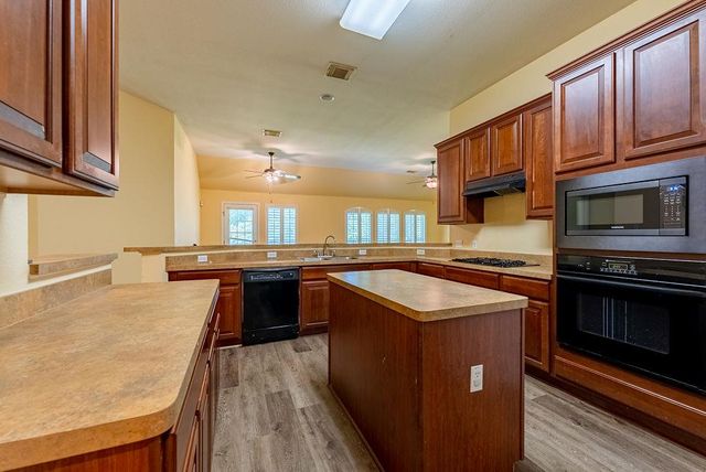 7414 W Magic Mountain LN, Round Rock, TX 78681