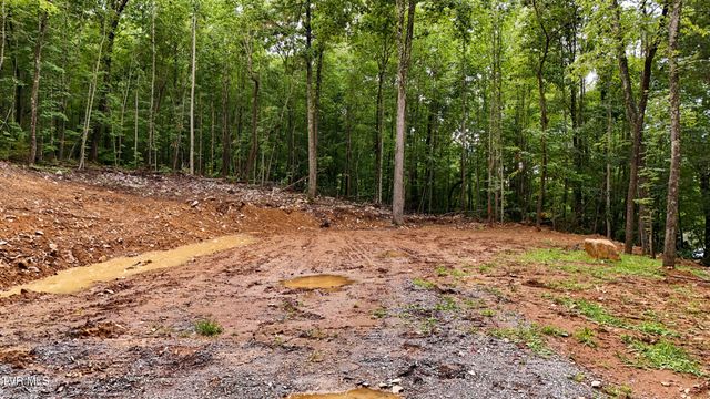 180 Bill Nave Loop, Elizabethton, TN 37643