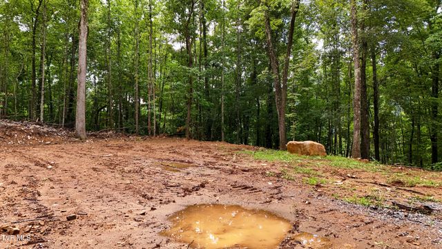 180 Bill Nave Loop, Elizabethton, TN 37643