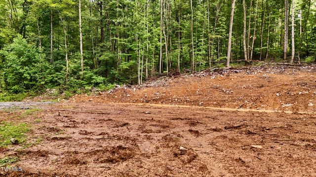 180 Bill Nave Loop, Elizabethton, TN 37643