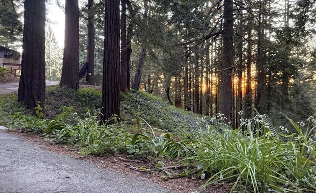 50 Ocean View Road, Los Gatos, CA 95033