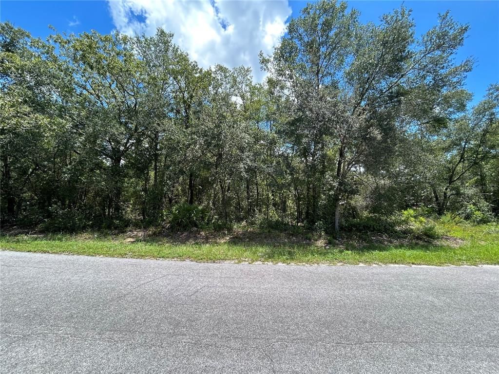 0 MALAUKA RADIAL, Ocklawaha, FL 32179