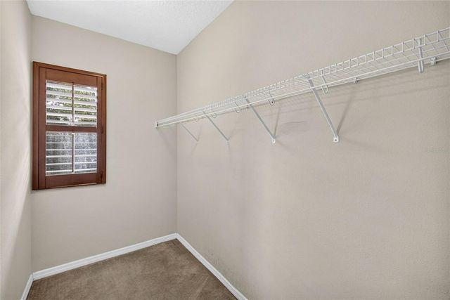 7906 CAMDEN WOODS DRIVE, Tampa, FL 33619