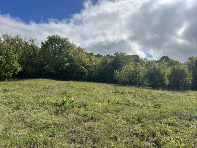 0 Fort Blount Rd, Hartsville, TN 37074